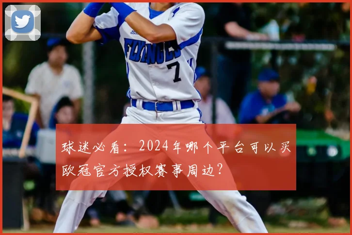 球迷必看：2024年哪个平台可以买欧冠官方授权赛事周边？
