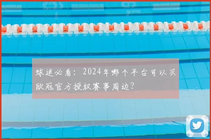 球迷必看：2024年哪个平台可以买欧冠官方授权赛事周边？